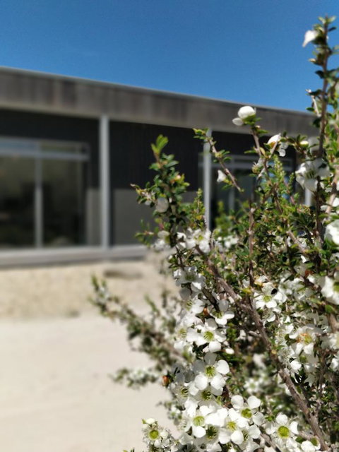 Aplite House - Yamba Accommodation 7