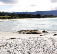 Mermaids of Bicheno - Yamba Accommodation