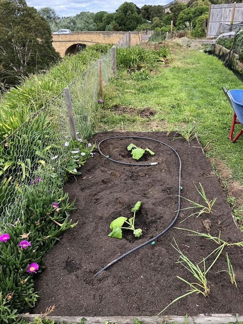 Richmond Bridge Accommodation â€œTwo The Bridgeâ€ - Yamba Accommodation 29