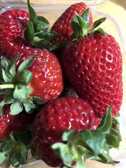 Richmond Bridge Accommodation â€œTwo The Bridgeâ€ - Yamba Accommodation 17