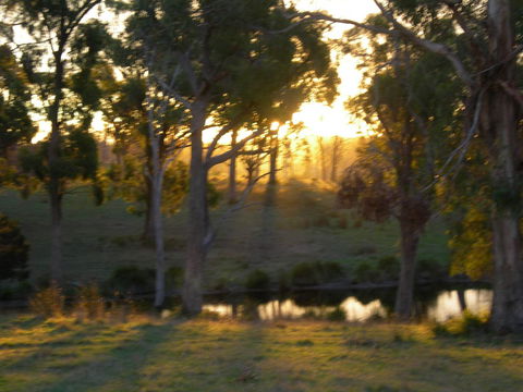 Platypus Park Country Retreat - Yamba Accommodation 30
