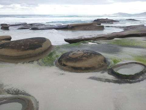 Suntrap Cove Bicheno - Yamba Accommodation 6