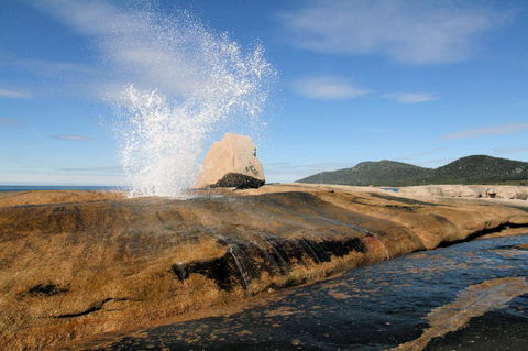 Suntrap Cove Bicheno - Yamba Accommodation 0