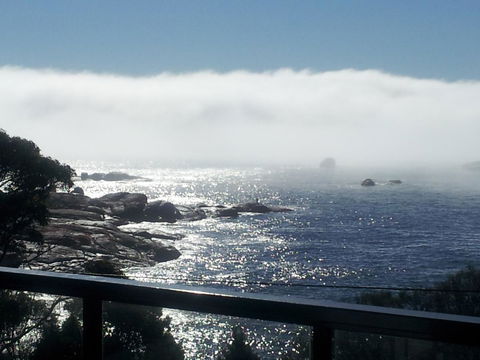 Suntrap Cove Bicheno - Yamba Accommodation 7
