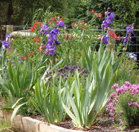 Karoola Cottage Self Contained - Yamba Accommodation