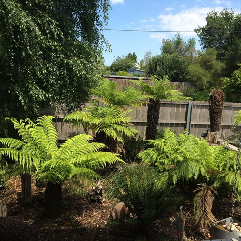 Pinestumps Holiday Home - Yamba Accommodation 14