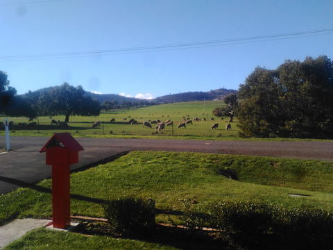 Pinestumps Holiday Home - Yamba Accommodation 11