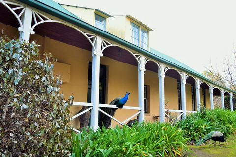 Cleburne Homestead - Yamba Accommodation 29