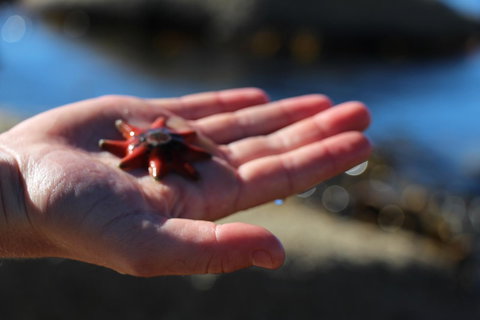 Blu-Sea 365 - Yamba Accommodation 26