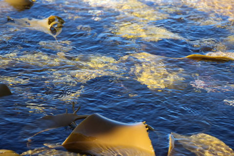 Blu-Sea 365 - Yamba Accommodation 28