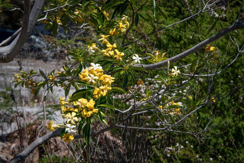 Blu-Sea 365 - Yamba Accommodation 8