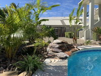 Noosa River Palms