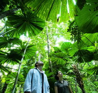 NRMA Cairns Holiday Park - Yamba Accommodation