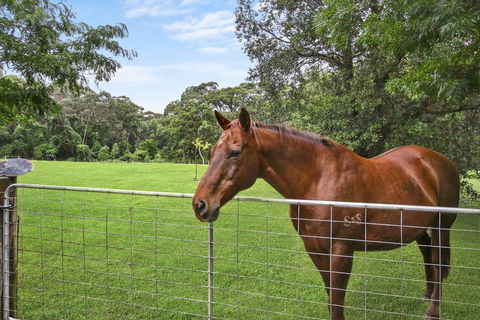 NUNGAROO COTTAGE - Yamba Accommodation 3
