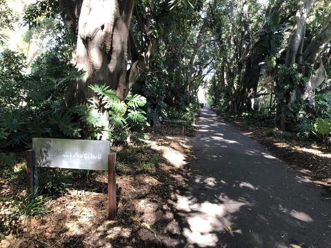 One Bedroom Cottage Close To Adelaide CBD - Yamba Accommodation 3