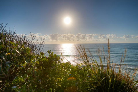 Osprey - Sapphire Beach NSW - Yamba Accommodation 2