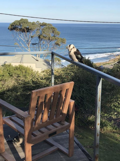 Otway Blue - Yamba Accommodation 2