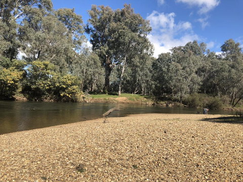 Ovens Riverview Homestead - Yamba Accommodation 0