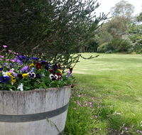 Padthaway Caravan Park - Yamba Accommodation