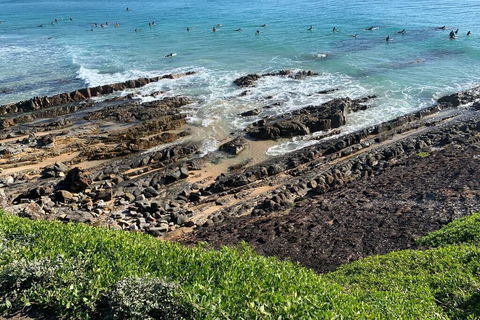 Pandanus - Yamba Accommodation 1