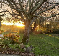 Peg Cottage - Yamba Accommodation