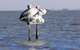 Pelican Perch Retreat - thumb 0
