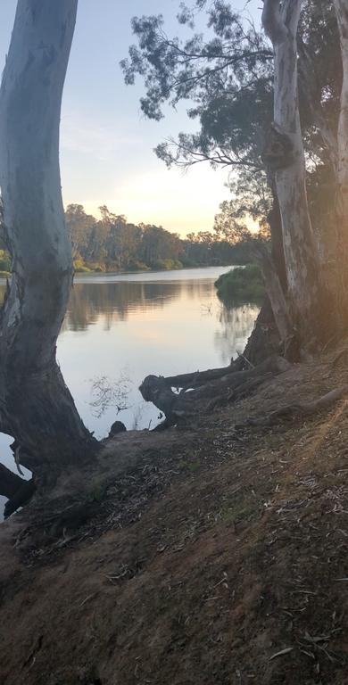 Perricoota Station - Yamba Accommodation 3