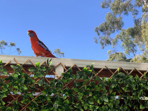 Pinnacle Views - Yamba Accommodation 2