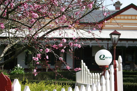 Quamby Homestead - Yamba Accommodation 2