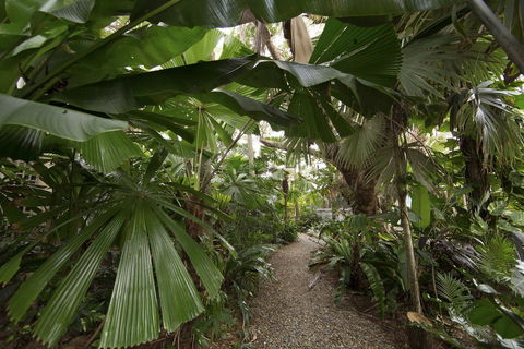 Rainforest Castaways Resort And Spa - Yamba Accommodation 1