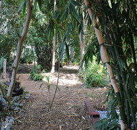 Rainforest Water Front River Shack Secluded. - Yamba Accommodation
