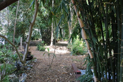 Rainforest, Water Front, River Shack, Secluded. - Yamba Accommodation 0