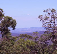 Ravensbourne Escape - Cedar Lodge - Yamba Accommodation