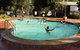 Rivergum Holiday Park - thumb 0