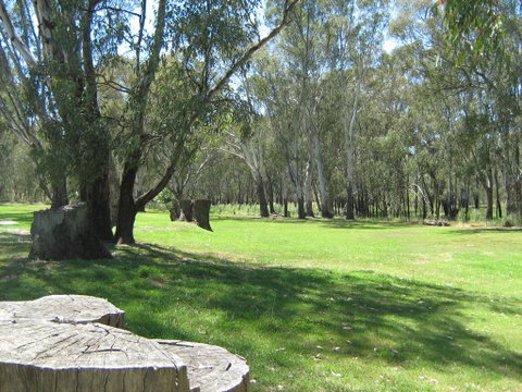 Rivergum Holiday Park - Yamba Accommodation 2