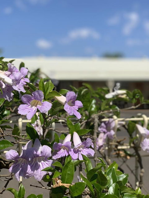 Riverland Motor Inn - Yamba Accommodation 3