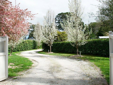 Robin Hill Manor - Rambling Retreat & Tennis Court - Yamba Accommodation 0