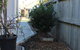 Rockdale Rutherclen Terrace 1886 - thumb 2