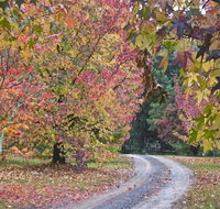 Rustic Spirit - Yamba Accommodation