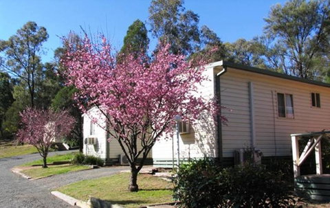 Sandy Hollow Tourist Park - Yamba Accommodation 3
