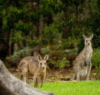 Secura Lifestyle Countryside Kalaru - Yamba Accommodation