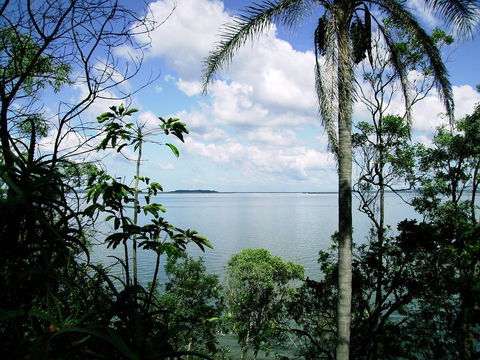 Seminara Apartments Coochiemudlo Island - Yamba Accommodation 1