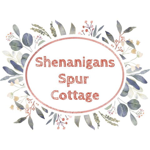 Shenanigans Spur Cottage - Yamba Accommodation 3
