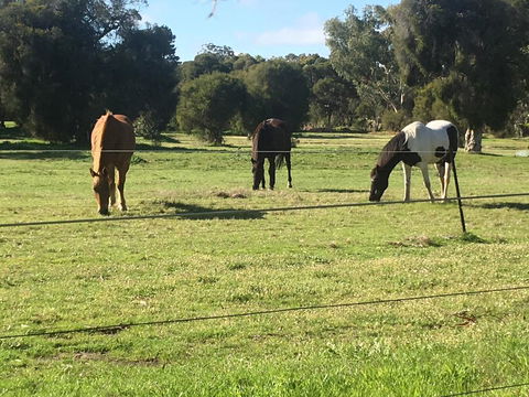 Shetland Park Chalets - Yamba Accommodation 1