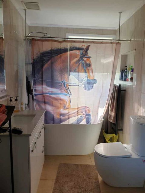 Silverbirch Cottage - Yamba Accommodation 3