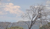 Book Mount Buller Accommodation Vacations Yamba Accommodation Yamba Accommodation
