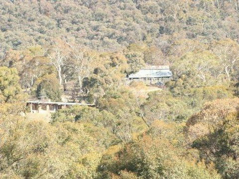 Snowy Wilderness - Yamba Accommodation 1