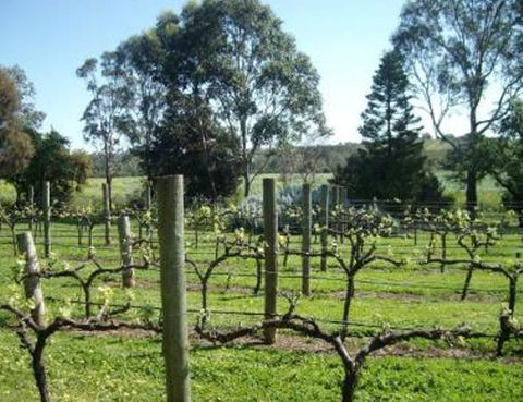 Southern Vales Bed & Breakfast - Yamba Accommodation 1