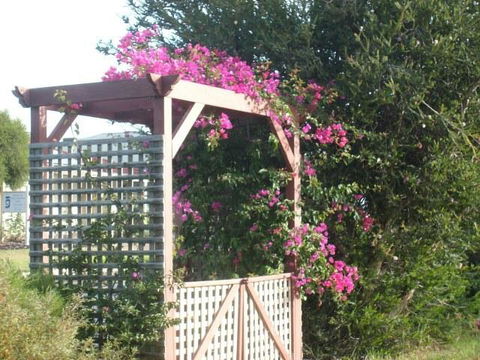 Southern Vales Bed & Breakfast - Yamba Accommodation 3