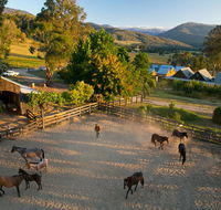 Spring Spur - Yamba Accommodation